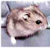 チーズ生後５ヶ月